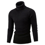 Sammy Jackson Slim Fit Casual Knit Turtleneck Pullover Sweater