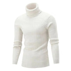Sammy Jackson Slim Fit Casual Knit Turtleneck Pullover Sweater